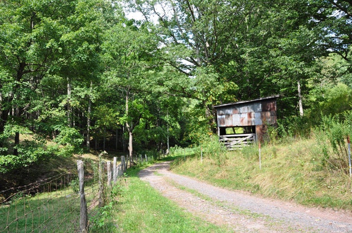Great storage shed
