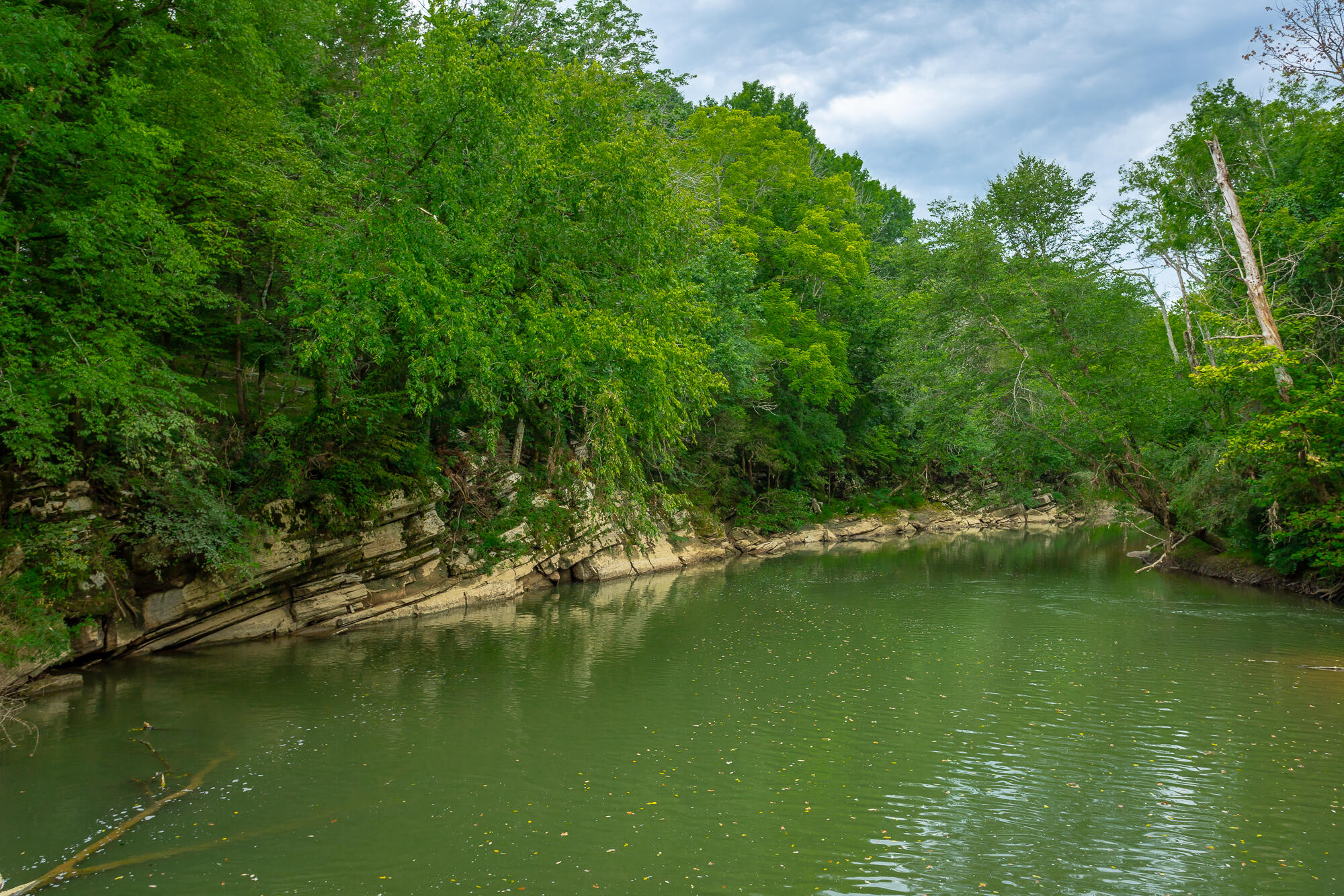 7397 East Valley Road Dunlap, TN 37327 - Photo 91 of 143 7397 E Valley Road