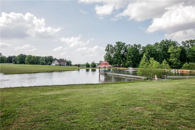 4347 Oregon Road Springfield, TN 37172 - Photo 3 of 20