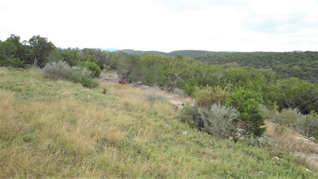 229 Pinon Loop East Camp Wood, TX 78833 - Photo 21 of 24
