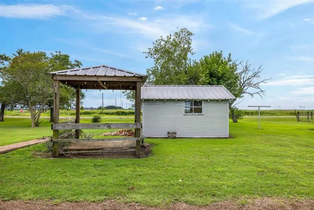 a small garden covered with tall trees