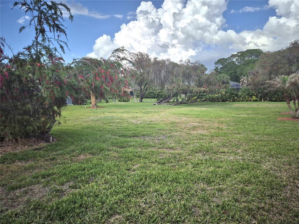40 Dale Place Oldsmar, FL 34677 - Photo 4 of 32 a view of outdoor space and yard