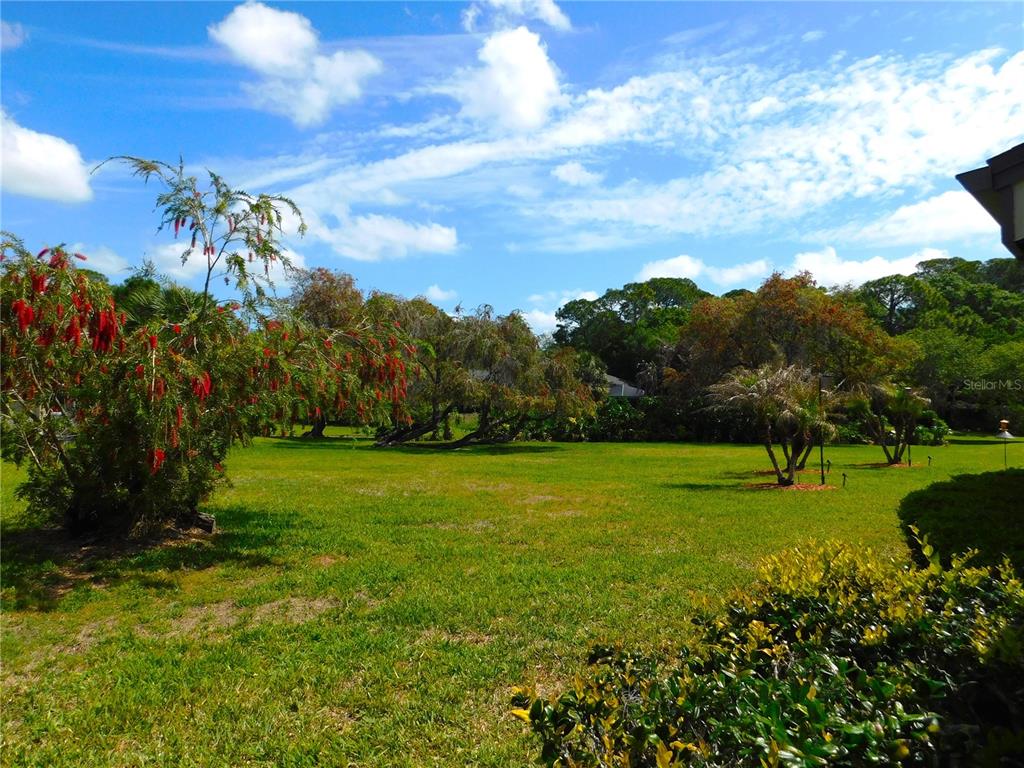 40 Dale Place Oldsmar, FL 34677 - Photo 5 of 32 a view of a field with a tree in the background