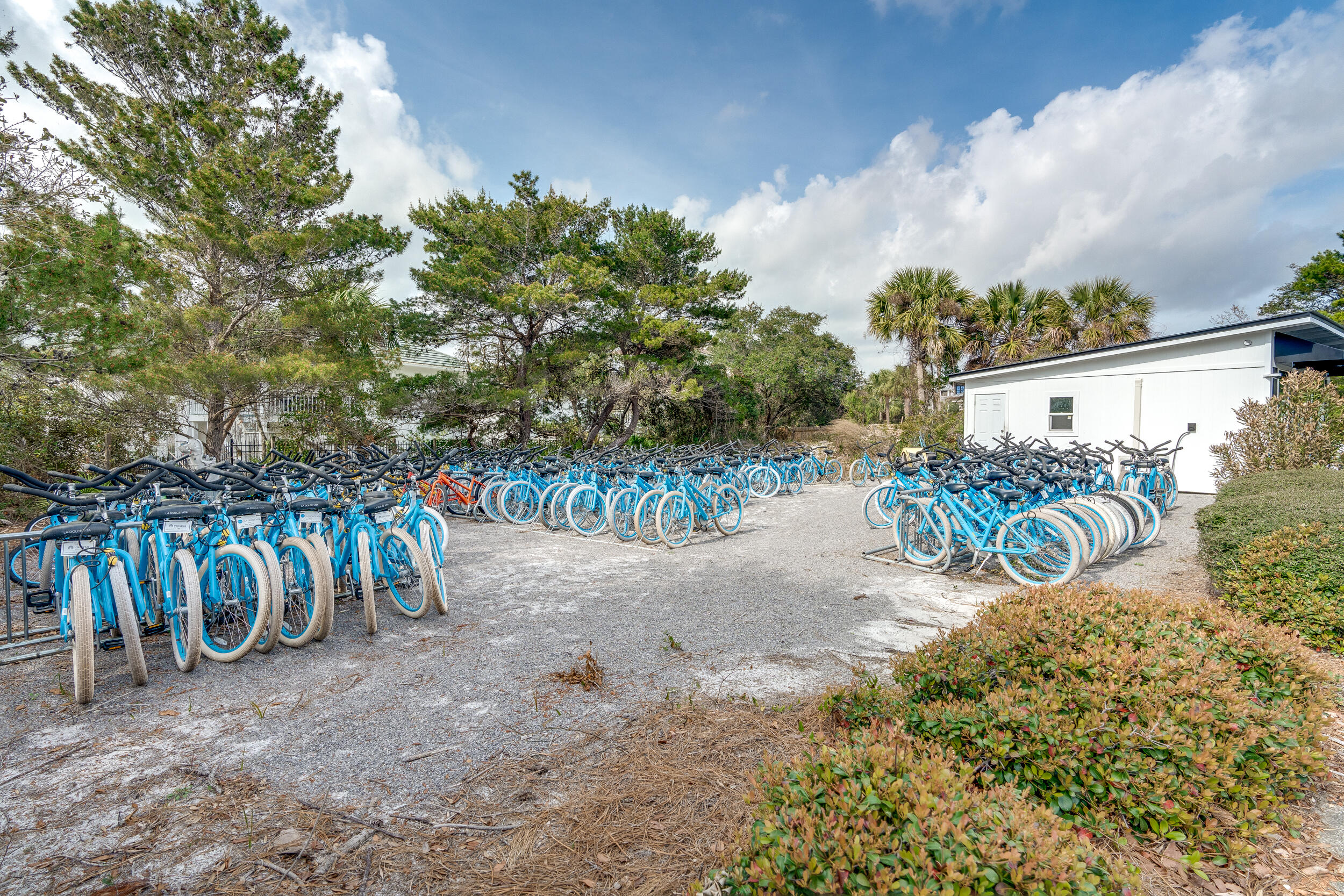 10254 East Co Highway, Unit 233 Inlet Beach, FL 32461 - Photo 46 of 46 a view of a street with many trees