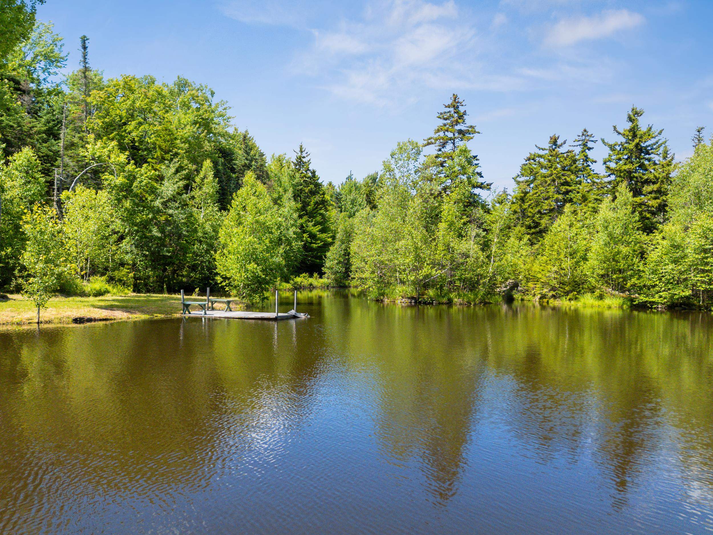 1012 Hallstrom Road Northfield, VT 05663 - Photo 46 of 59