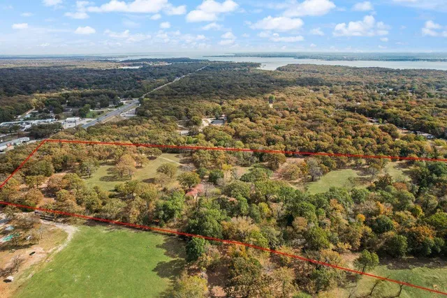 a view of a forest with a street