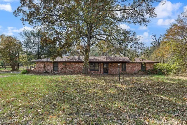 a view of a park with large trees