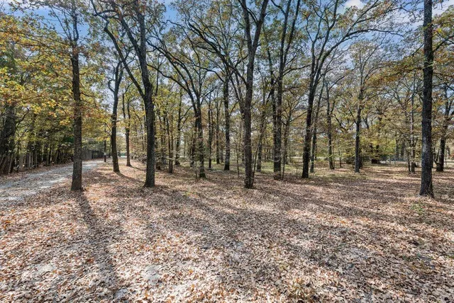 a view of a field with trees in the background