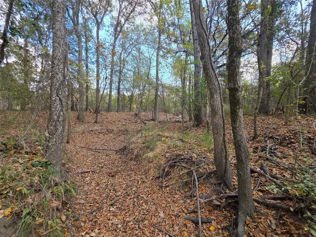 a view of a park with large trees