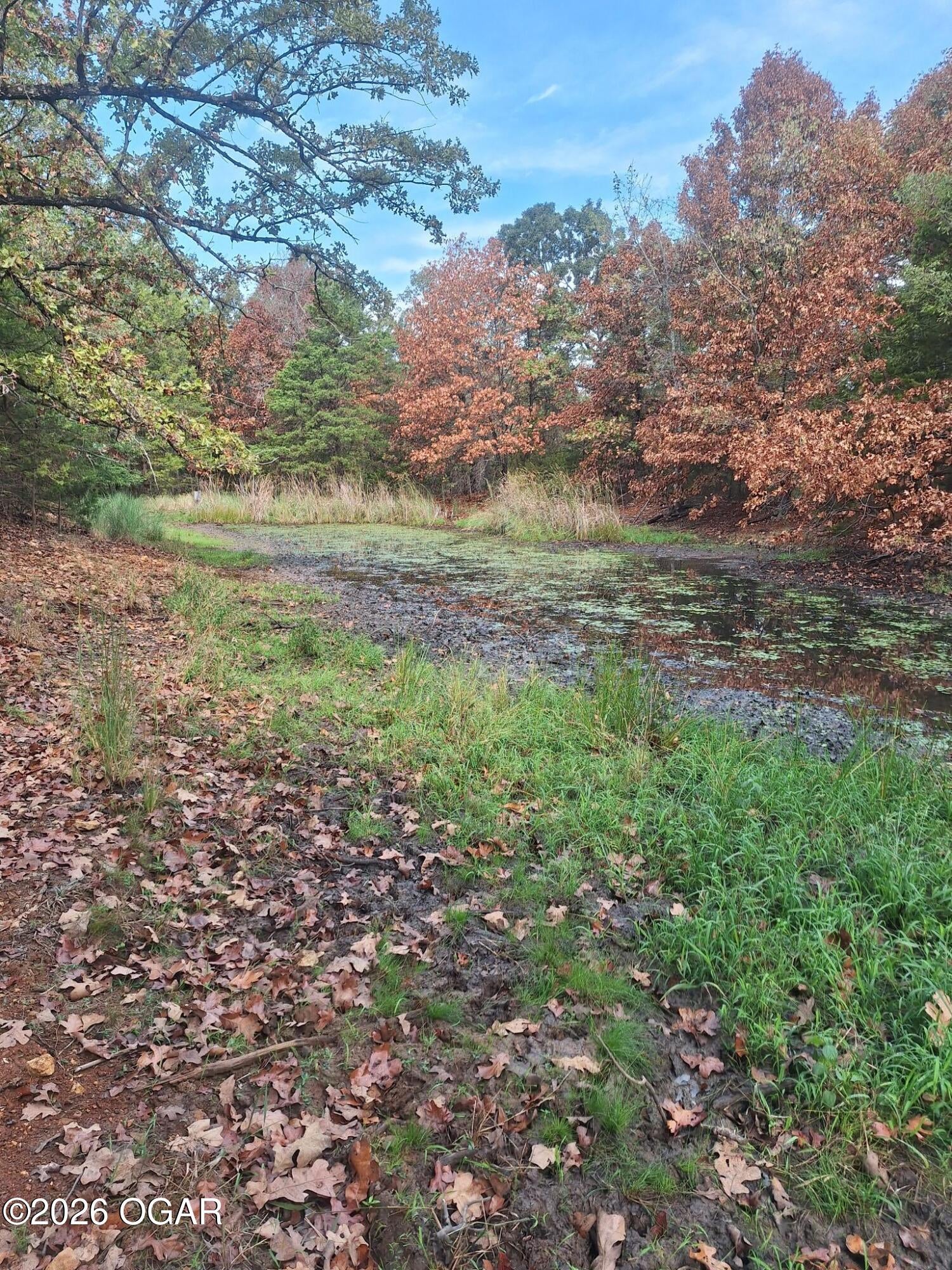 114-acres Styles Road Noel, MO 64854 - Photo 10 of 12 Gallery Image 10