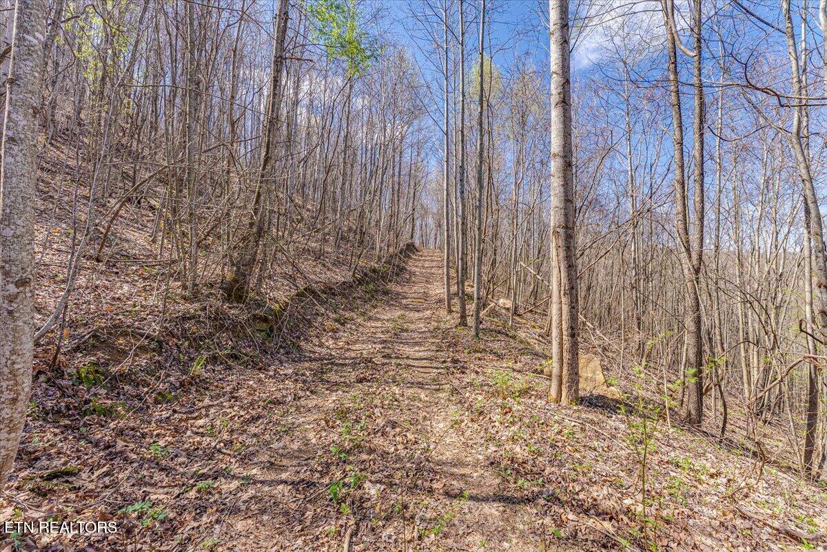 422 Crooked Branch Road Huntsville, TN 37756 - Photo 32 of 35 42-Trail A2