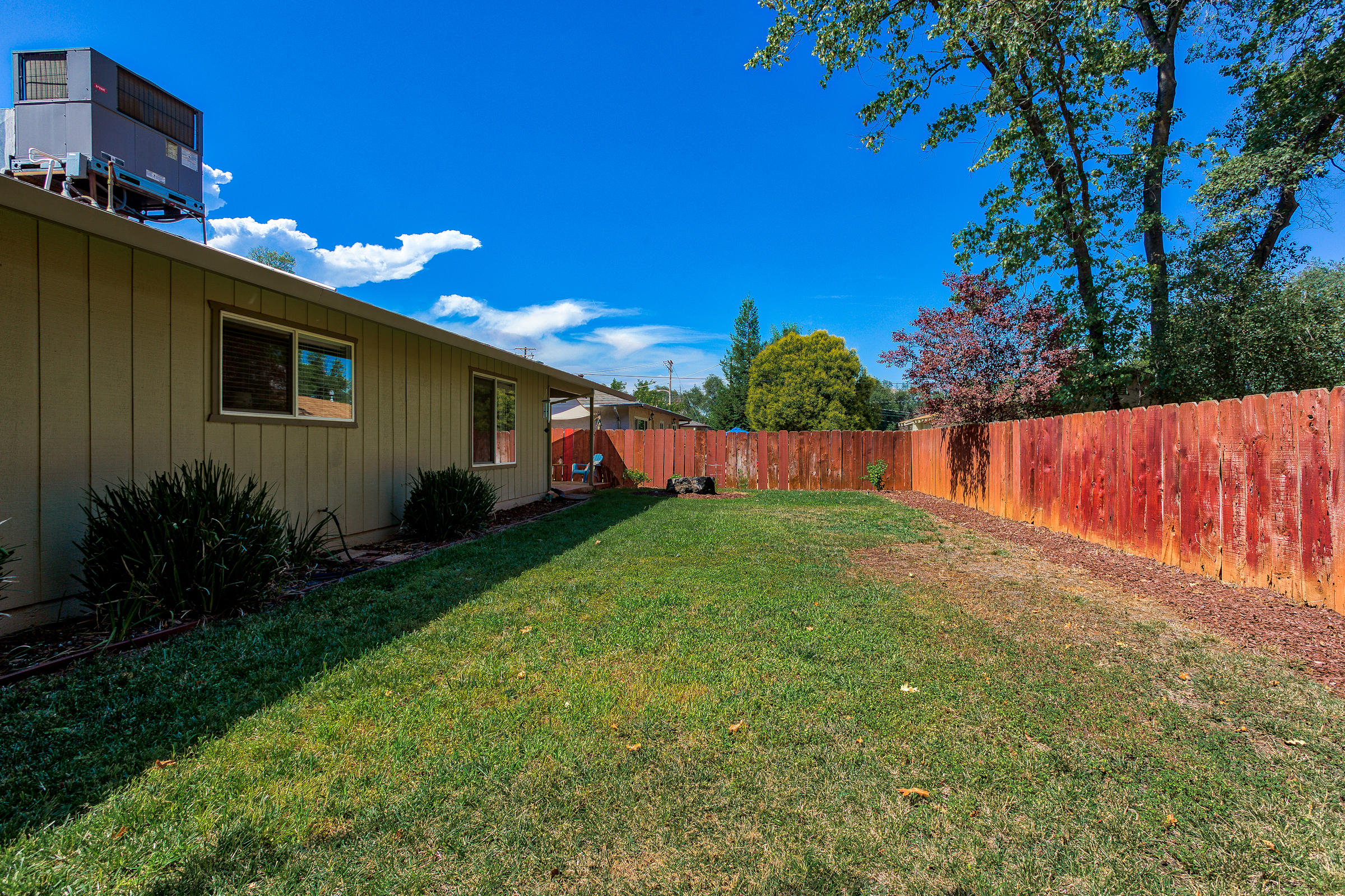 3665 Echo Road Redding, CA 96002 - Photo 31 of 33 a view of backyard with potted plants and a large tree