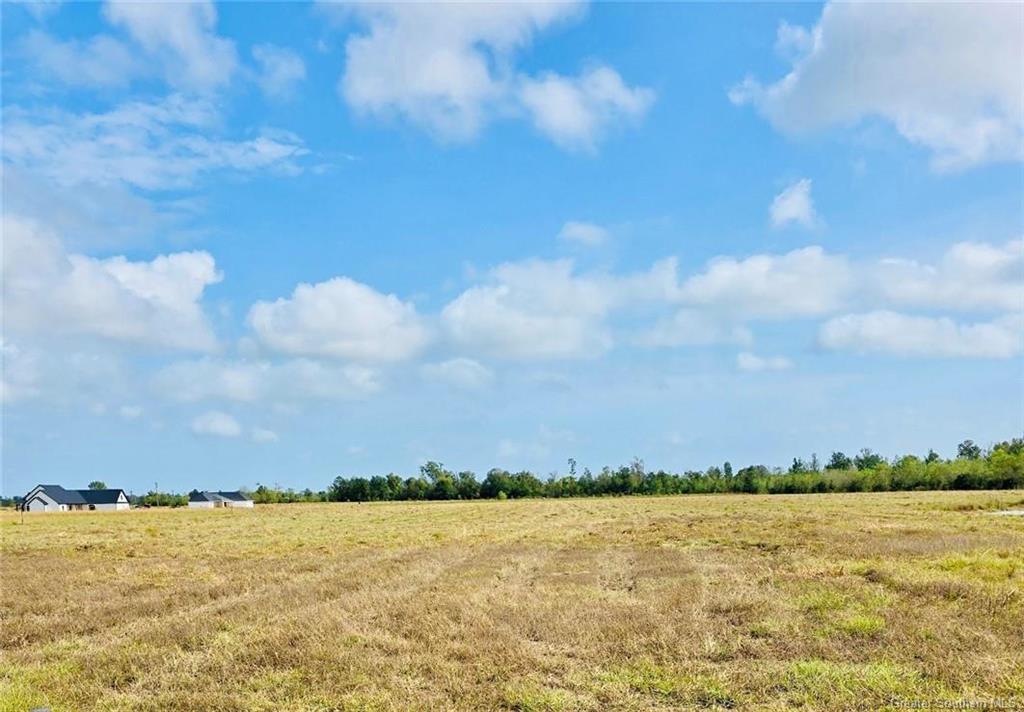 0 Turps Road Ragley, LA 70657 - Photo 4 of 8