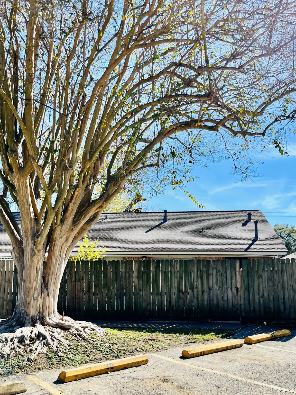 9442 Neuens Road, Unit 9442 Houston, TX 77080 - Photo 23 of 24 a view of a backyard