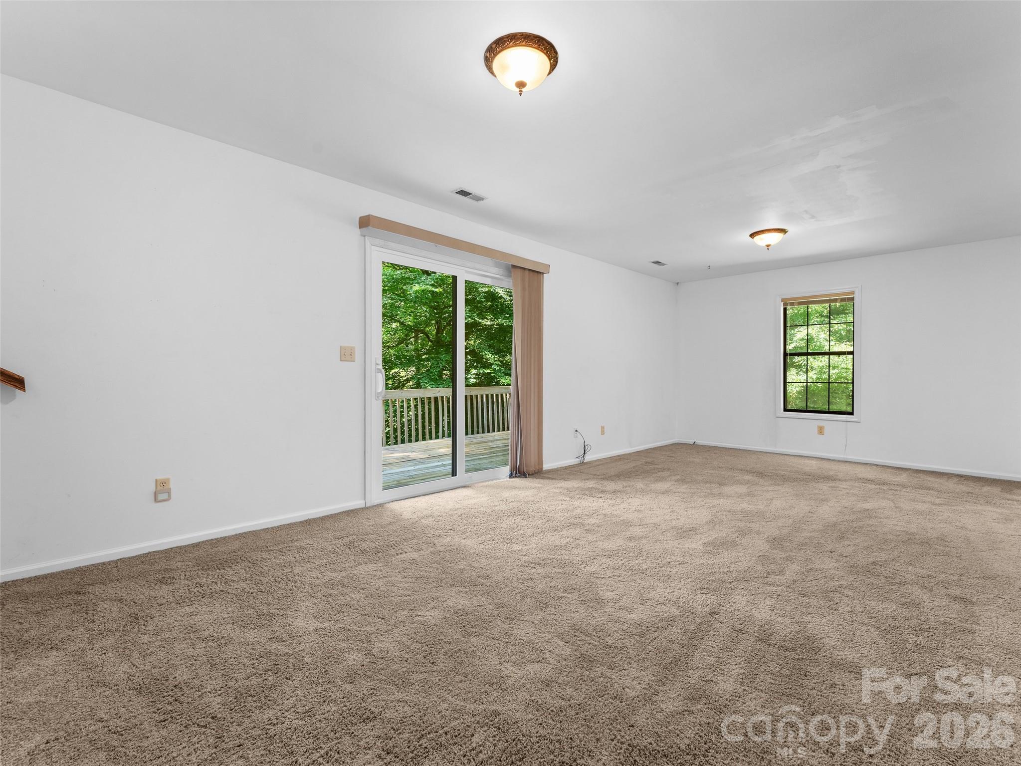 323 Burrell Mountain Road Brevard, NC 28712 - Photo 19 of 28