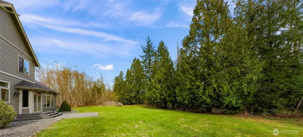 a view of a yard with plants and a tree