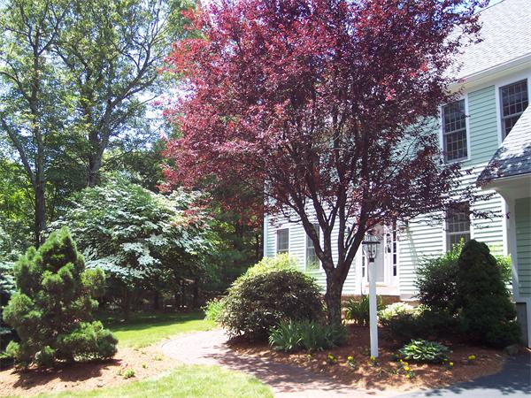 6 Gibbon Road Hopkinton, MA 01748 - Photo 2 of 30 Gallery Image 2