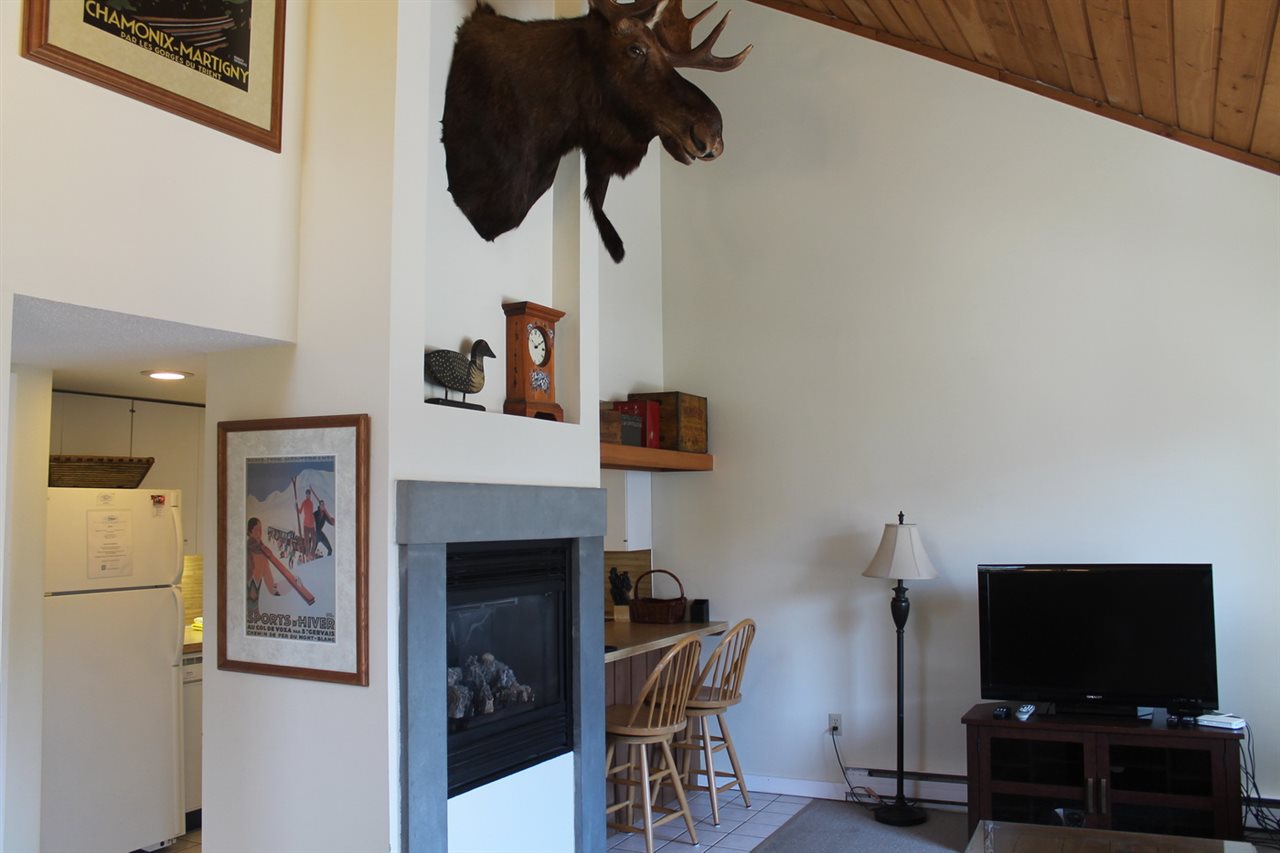 14-3 Osseo Road Lincoln, NH 03251 - Photo 13 of 37 Gallery Image 13