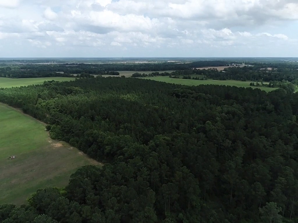 75/ Nuclear Plant Road Columbia, AL 36319 - Photo 24 of 34