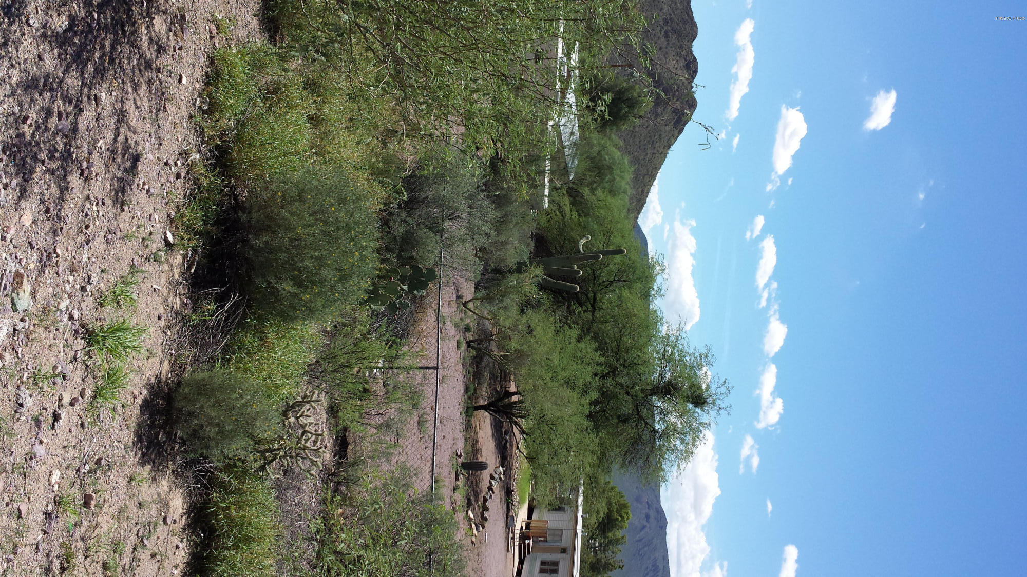 4365 West Valencia Road, Unit 16 Tucson, AZ 85746 - Photo 2 of 3