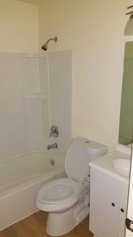 a white toilet sitting next to a bath tub