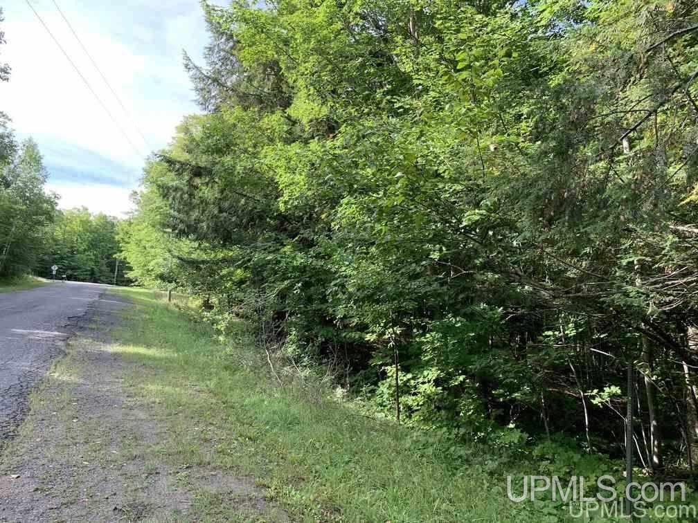 Lot 1 Bayview Road Lanse, MI 49946 - Photo 6 of 27