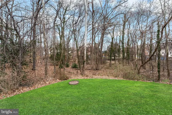 a view of a back yard
