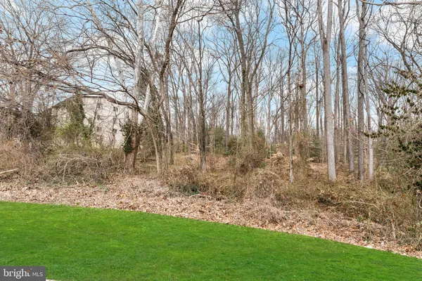 a view of backyard with trees