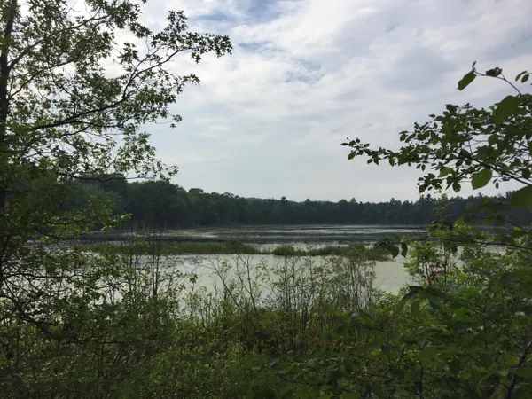 $55,000 | Parcel K Dodge Lake Road, Gaylord, MI 49735