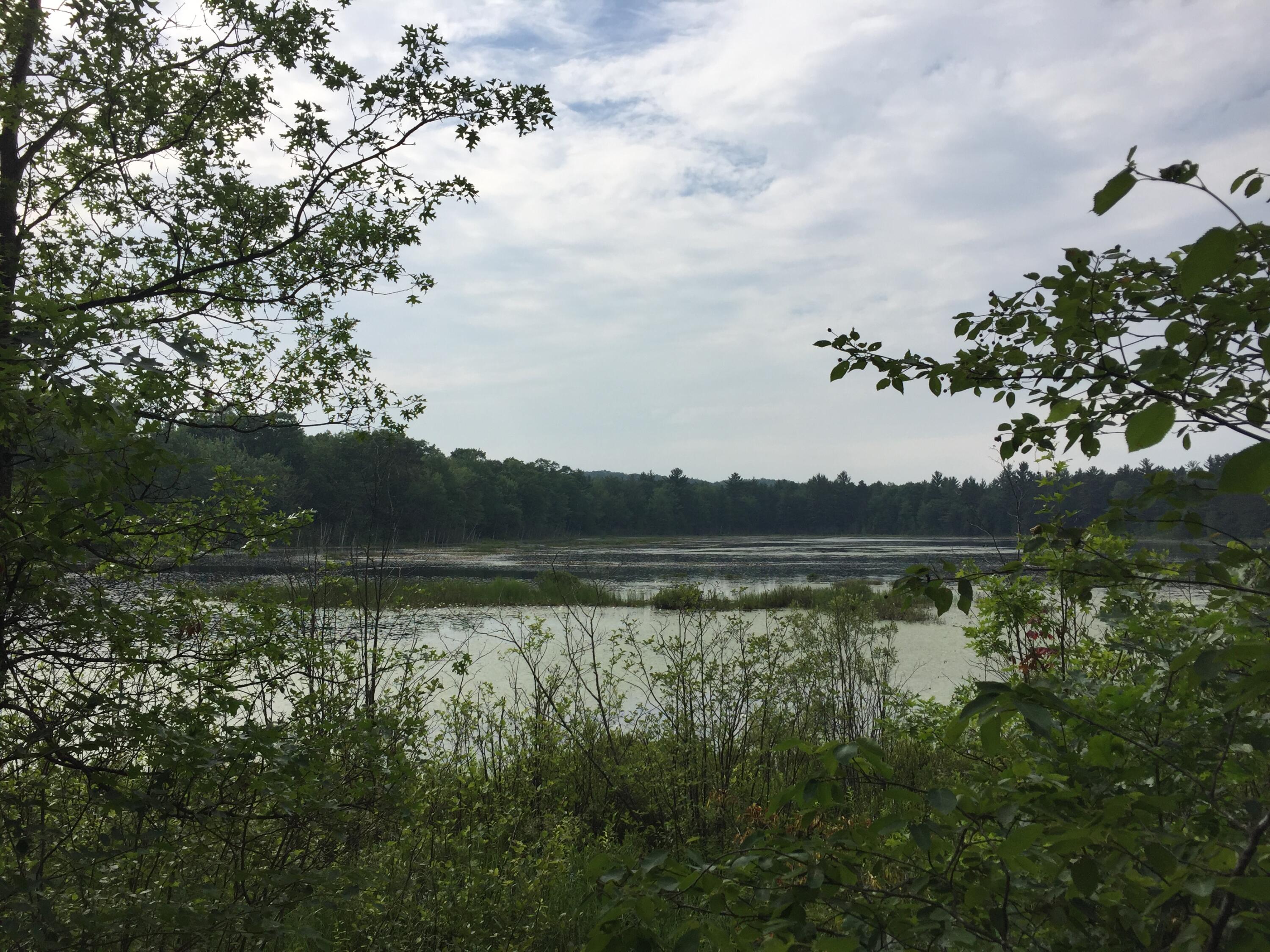 Parcel K Dodge Lake Road Gaylord, MI 49735 - Photo 2 of 4 IMG_3537