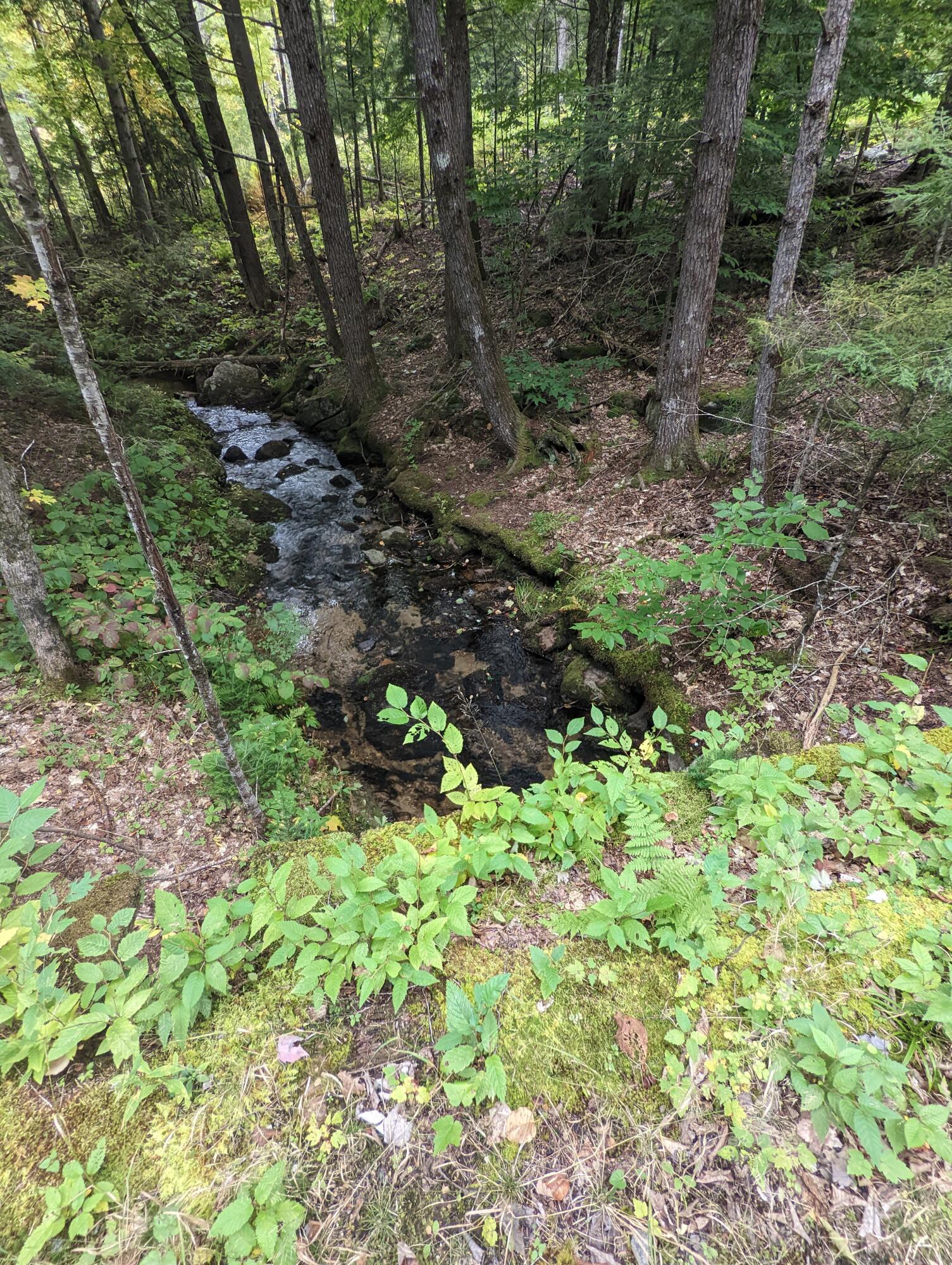 181 Shedd Road Norway, ME 04268 - Photo 3 of 22 Stream Bridge2