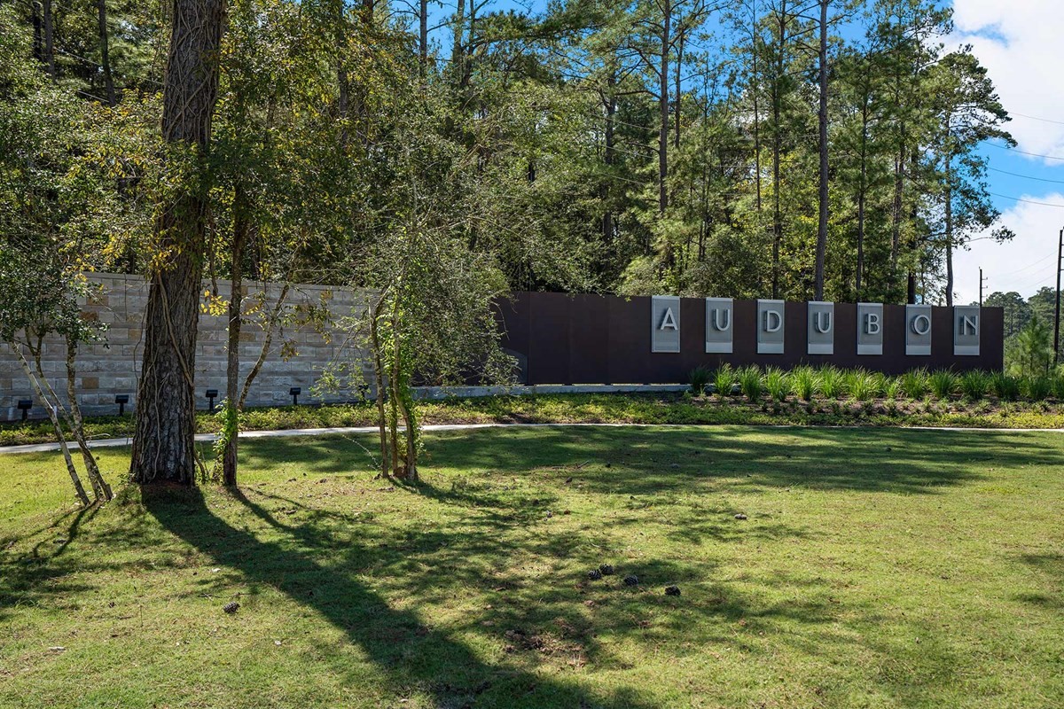 38515 Dancing Pair Way Magnolia, TX 77354 - Photo 6 of 9 Community Lifestyle