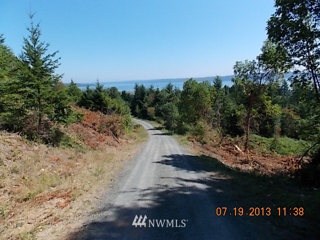 1 Moji Road Brinnon, WA 98320 - Photo 3 of 12 Gallery Image 3