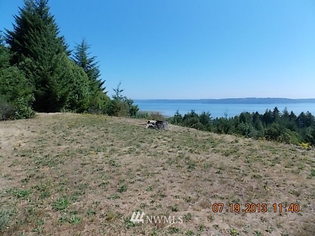 1 Moji Road Brinnon, WA 98320 - Photo 5 of 12 Gallery Image 5