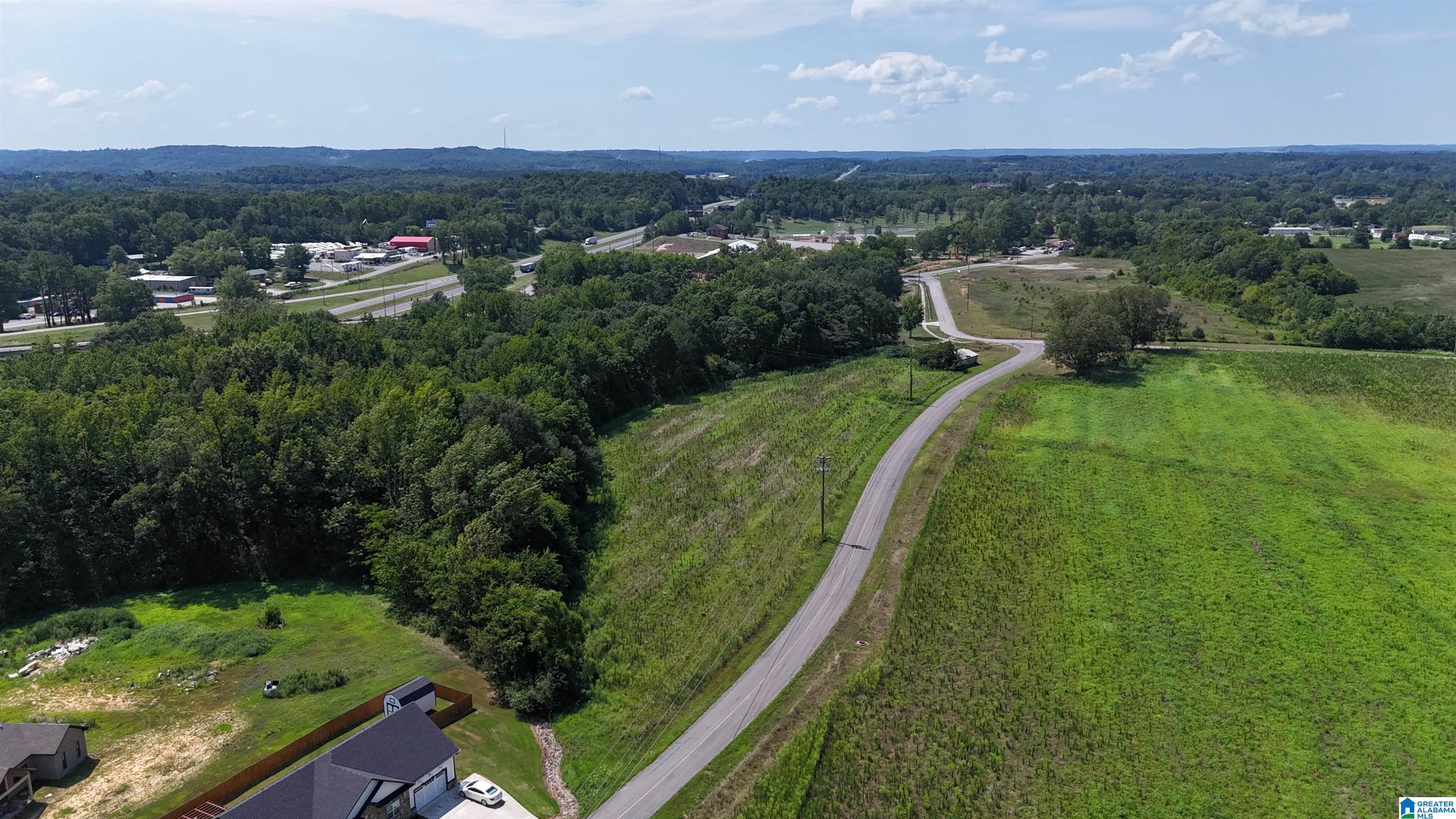 0 Reid Road Cullman, AL 35057 - Photo 18 of 23 Gallery Image 18