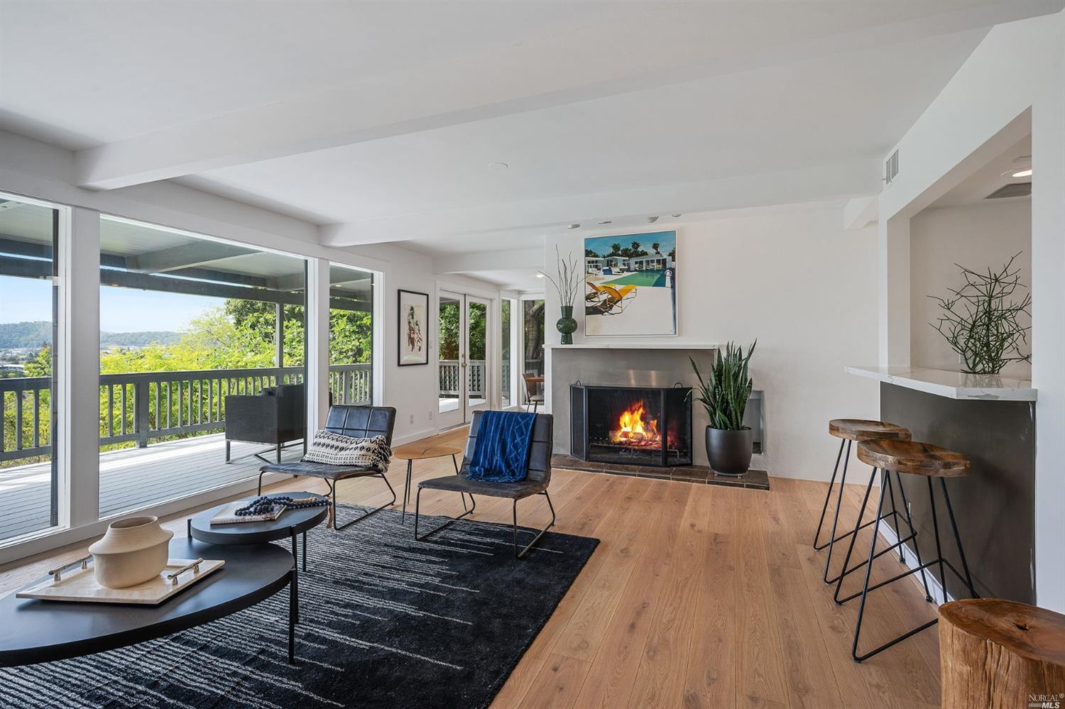 9 Pigeon Hollow Road San Rafael, CA 94901 - Photo 7 of 67