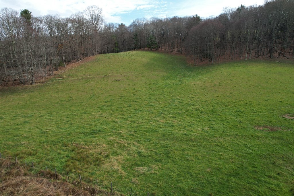 5549 Joy Ranch Road Fancy Gap, VA 24328 - Photo 6 of 38 Gallery Image 6