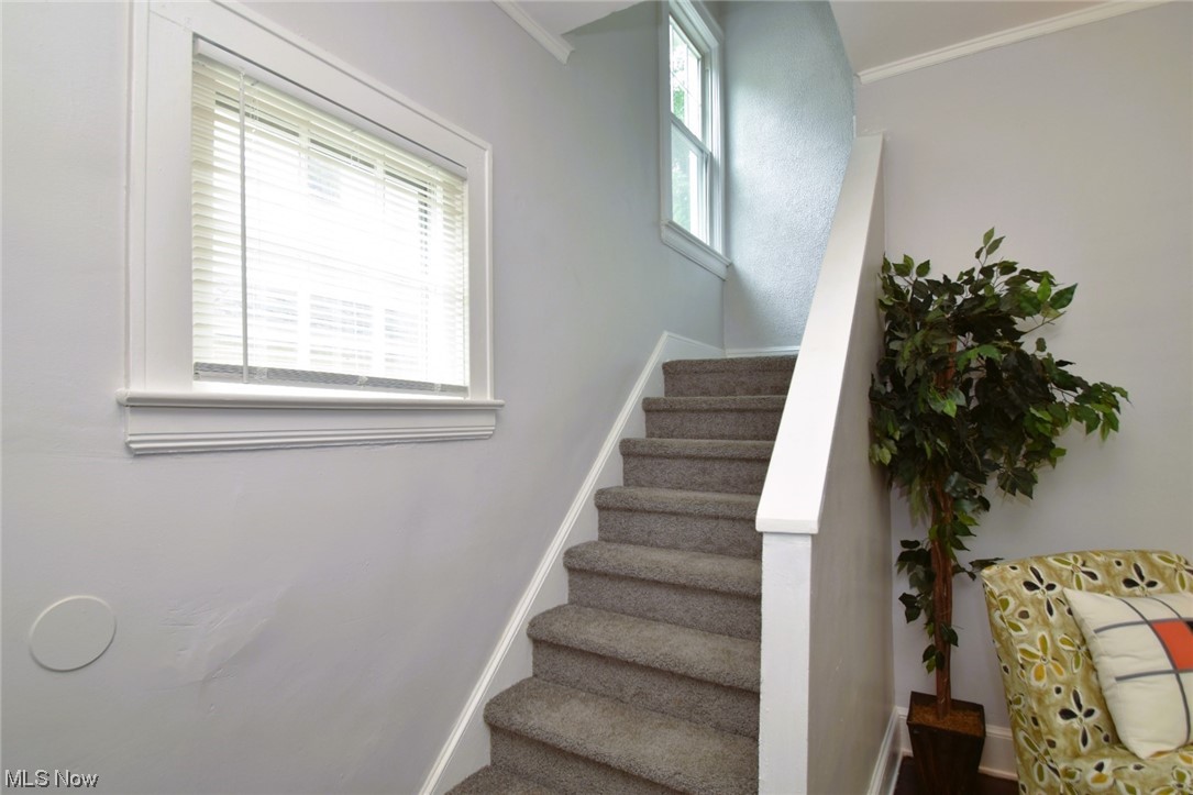 1643 Maple Road Cleveland Heights, OH 44121 - Photo 2 of 24