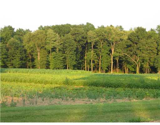 171 Unionville Road Butler, PA 16001 - Photo 3 of 10 Land. Fields & part of the woods