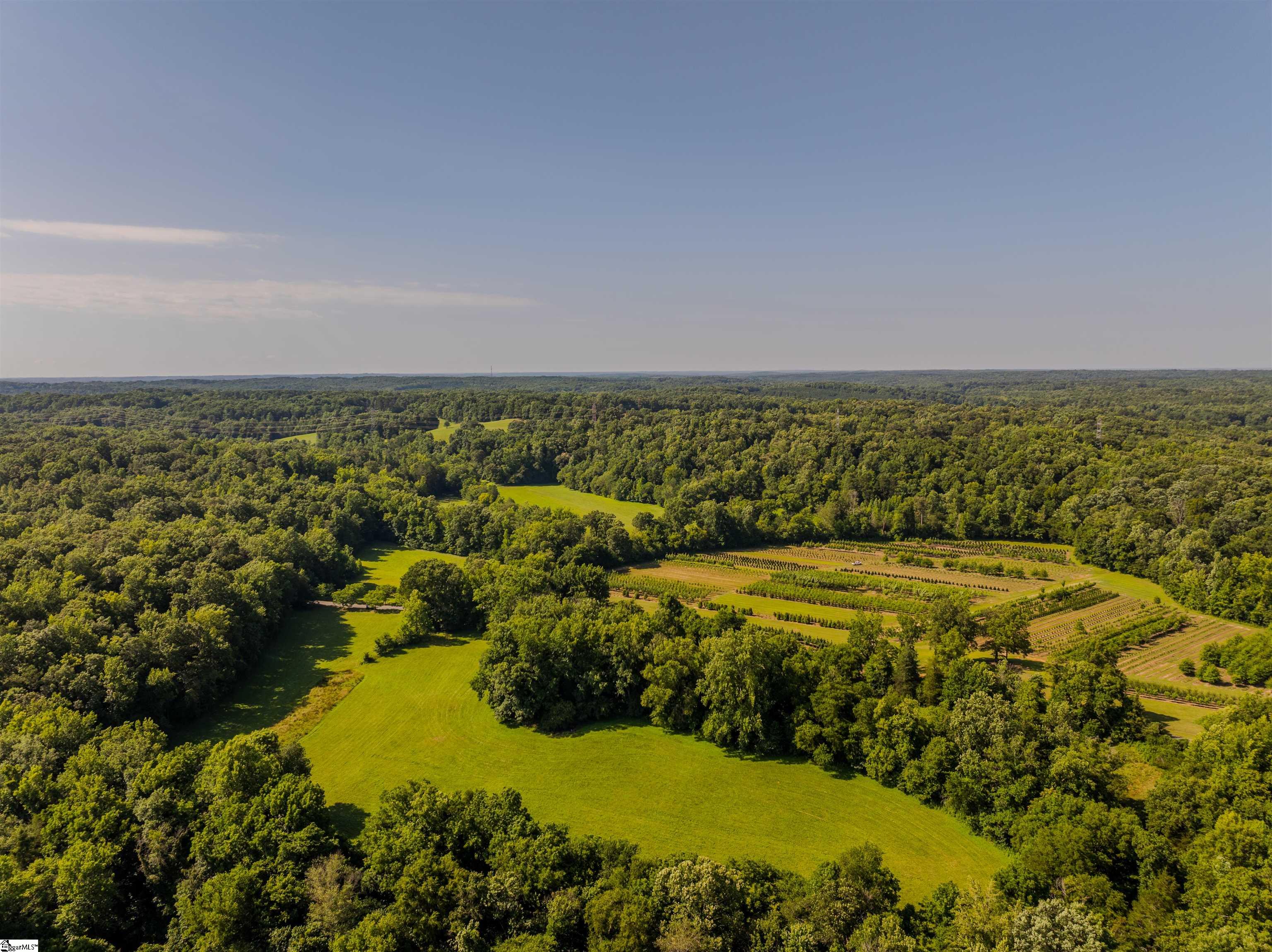 0 Forest View Road Blacksburg, SC 29702 - Photo 5 of 7