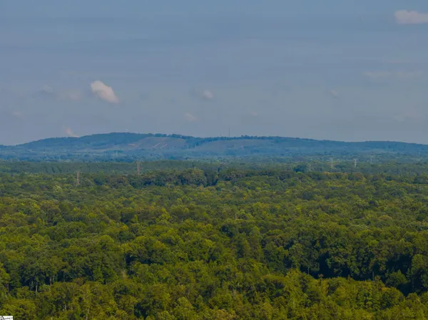 $4,650,000 | 0 Forest View Road, Blacksburg, SC 29702
