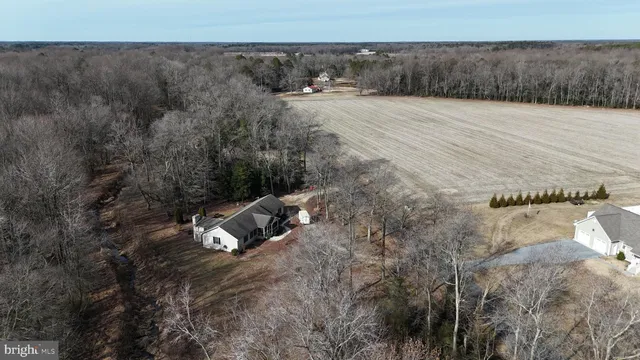 a view of a dry yard with wooden fence