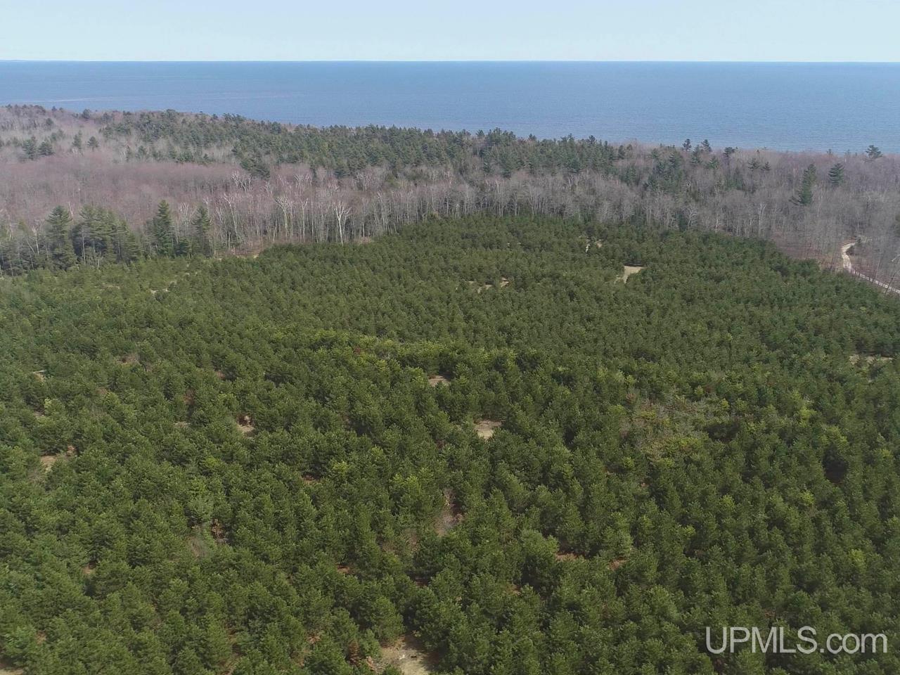 40-acres Gierke Road Manistique, MI 49854 - Photo 21 of 39