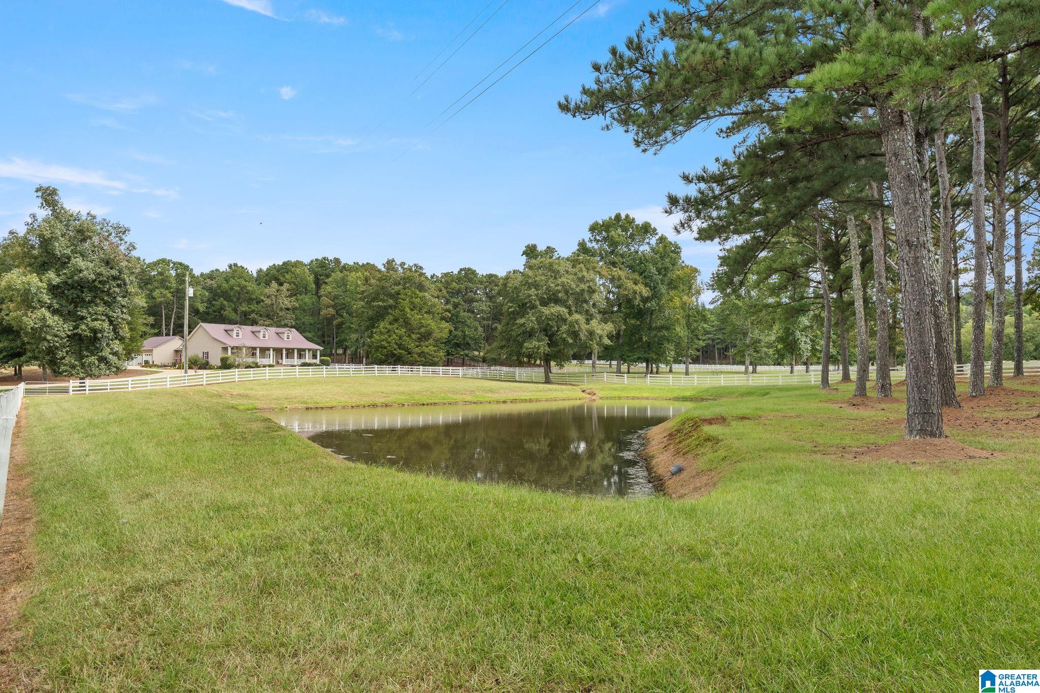5115 Mays Bend Road Pell City, AL 35128 - Photo 56 of 62 Gallery Image 56