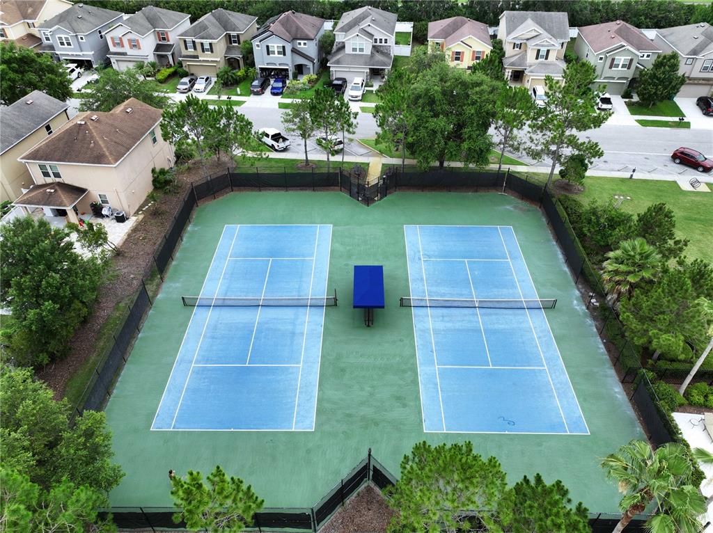 32451 Limitless Place Wesley Chapel, FL 33545 - Photo 54 of 58