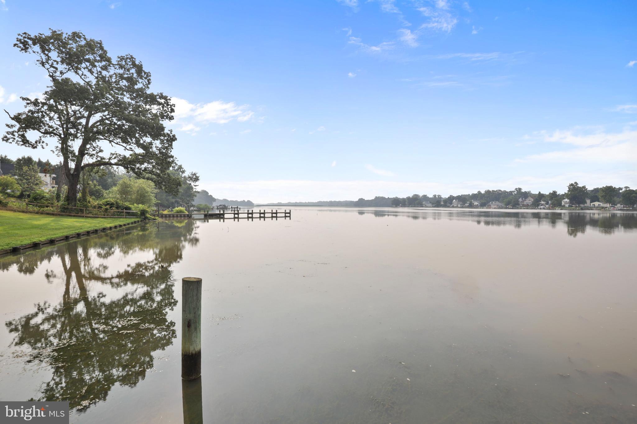View from the dock