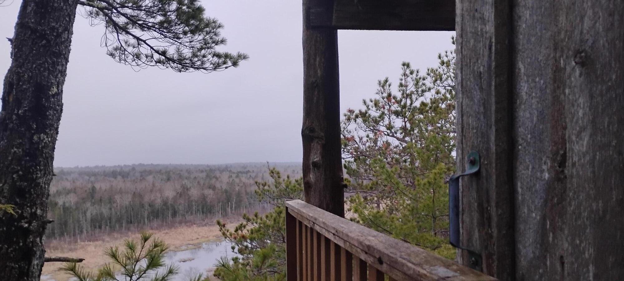162 Ayers Junction Road Pembroke, ME 04666 - Photo 2 of 31
