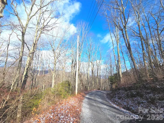 a view of yard with trees