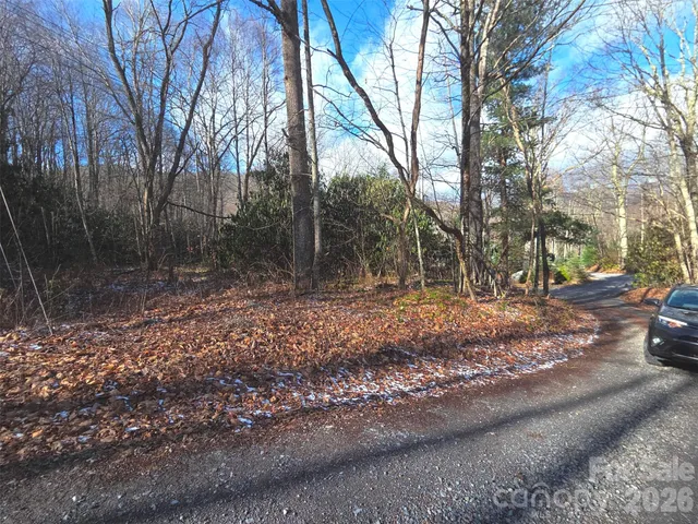 a view of a backyard with pathway