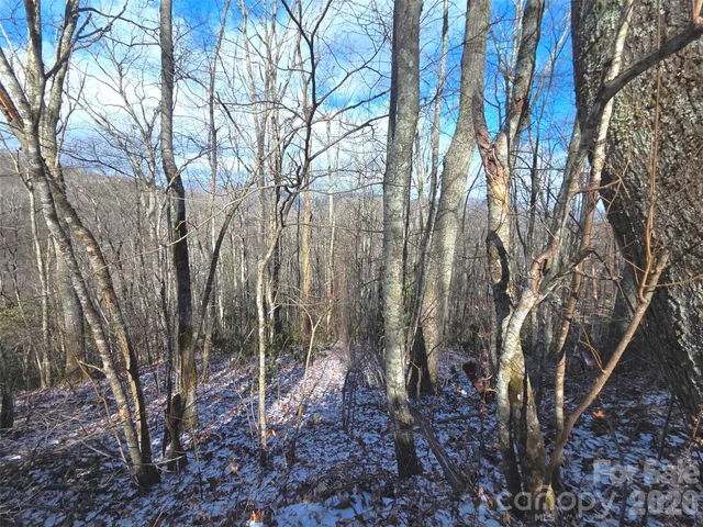 a view of outdoor space with trees
